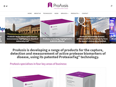 Proaxsis design ui ux website