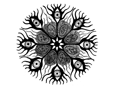 mandala illustration mandala