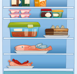 more fridge illustration