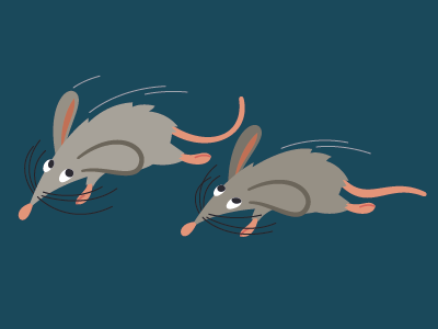 running mice