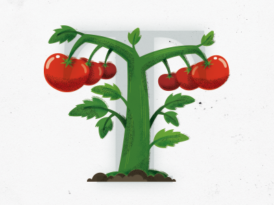 'T' is for Tomato fun illustration type