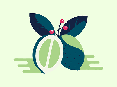 Lime berry design eplant fruit graphic gren illustration juice leaf lime package
