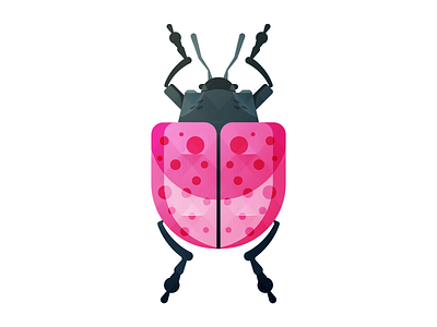The Bug Project. beetle bug design habitat icon illustrations insect nature project texture