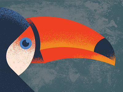 Toucan bird eye grain grunge illustration print texture toucan