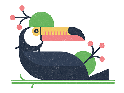 Toucan animal bird icon stroke texture toucan