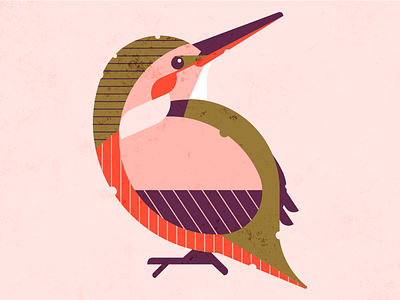 Kingfisher animal bird colors design exploring illustration inspration kingfisher nature retro style