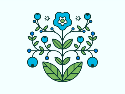 Laevo / Blueberry blueberry branding concept design exploring herbal tea illustration logo packaging tea