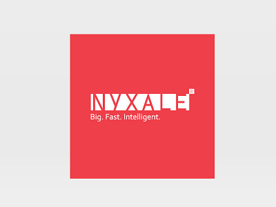 Nyxale. Big Data company big branding data naming