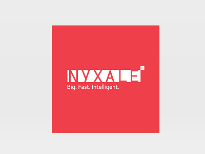 Nyxale. Big Data company