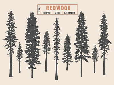 Redwood