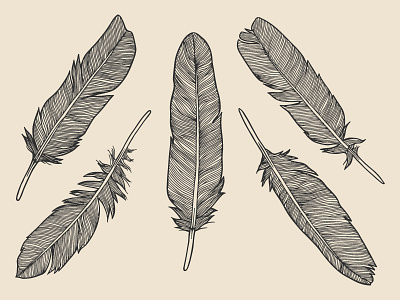 Feathers