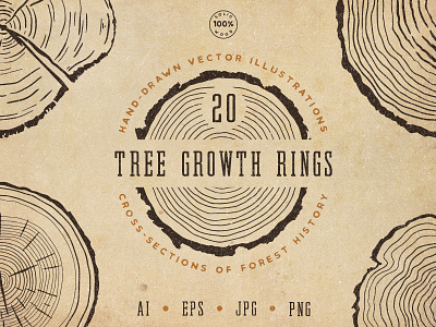 New! Tree Growth Rings Set cross section forest graphic bundle hand drawn illustration log nature rings stump tree rings trunk woodland
