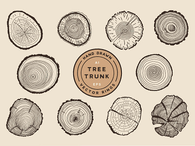 tree rings illustration