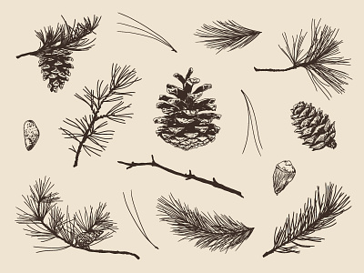 Pine Elements