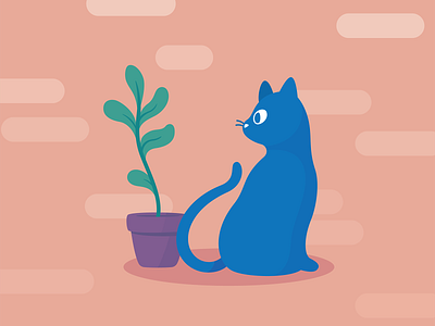 Modern Cat + Plant blue cartoon cat cats digital digital illustration digitalart illustration illustrator vector