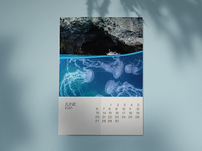 June Calendar calendar collage digital nature photoshop