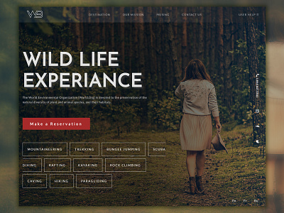 Wild Life Experience | WannaBusiness animation brand branding character css design forest green html icon illustration logo mobile ui ux vector web website