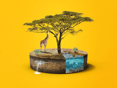 Giraffe+Pancake 3d 3d artist branding cover design design art gfx illustration minimal nature photo photomanipulation