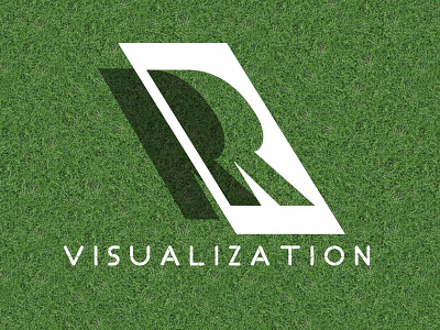 R Visualization Logo 3dlogo graphic design graphicdesigner logo logo design logocore logodesign