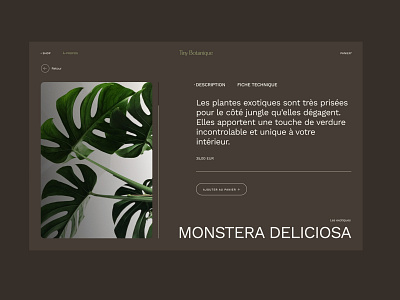 Tiny Botanique UI Design app design branding design graphic design monstera nature plants plants lovers ui ux web design