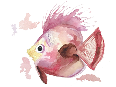 Fish Illustration illustration print watercolor