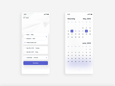 Plane booking app • startup screen and calendar
