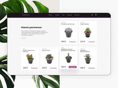 Monobrand eCommerce Website Design behance case ecommerce eshop plants ui webdesign