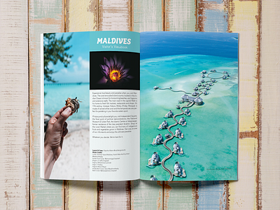 Travel Magazine adobe indesign graphic design