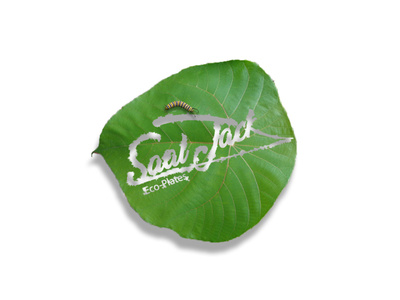 SaalJack cover for the Branding of leaf plates branding design logo nature tropical typography