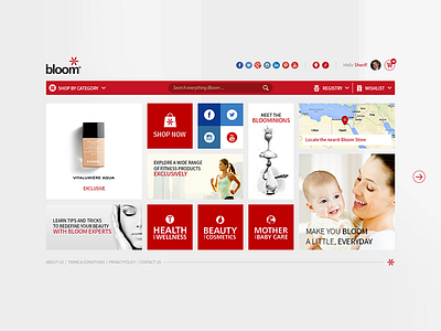 Bloom Online Store Home Page boxes e commerce home metro style online red search store