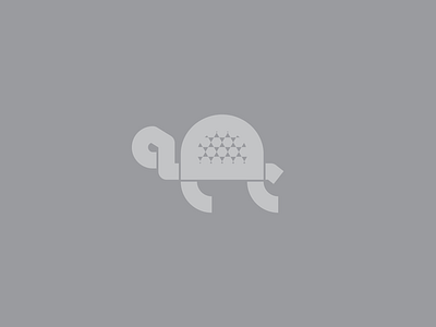 Quick turtle logo 🐢 badge brand design draw drawing graphic design icon identity illustrate illustration logo nature sea life sea turtle turtle wildlife