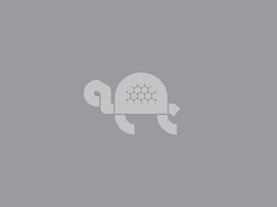 Quick turtle logo 🐢