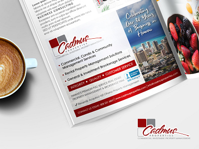 Real Estate Advert advert brochure design design flyer design graphic design magazine ad real estate