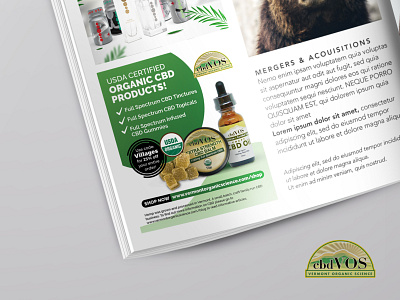 CBD Magazine Advert advert brochure design design flyer design graphic design magazine ad