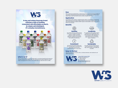 Flyer Design branding brochure design corporate branding corporate identity design flyer design graphic design identity branding