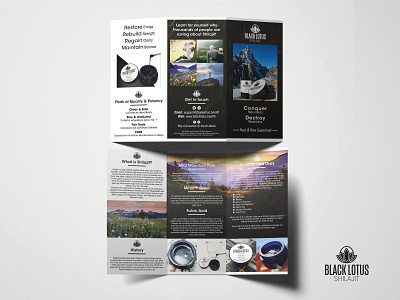 Trifold Brochure branding brochure brochure design corporate branding design graphic design pamphlet trifold