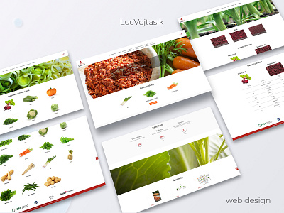 webdesign jaworski