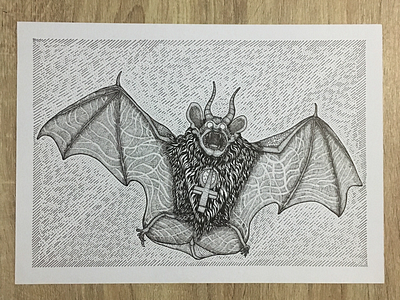 Bat animal artwork drawing illustration pen and ink drawing sketch