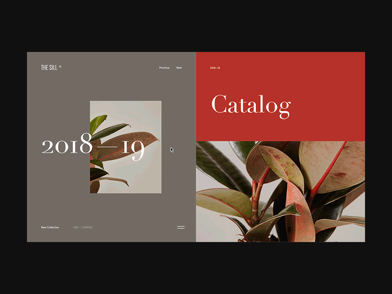 The Sill — Shop Concept