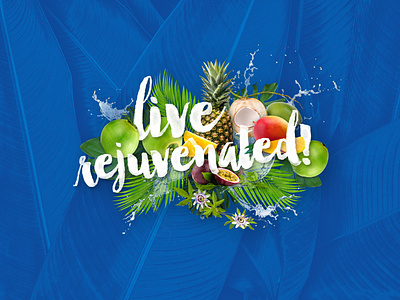 Live Rejuvenated design illustration typography