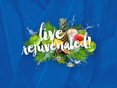 Live Rejuvenated