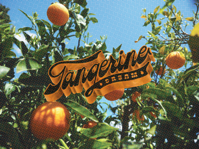 Logo promo for Tangerine Dream Co. adobe illustrator logotype procreate typography