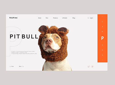 Pet animation app blog brand design dog dribbble home homepage illustration logo logotype pet pets pitbull sketch ui ux vector web