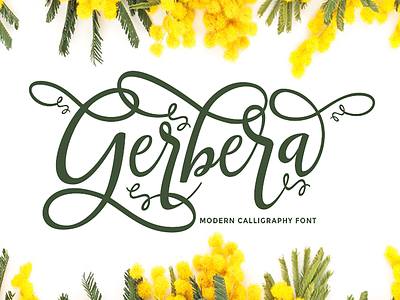 Gerbera branding calligraphy font font font awesome font bundle font design le parte studio modern calligraphy modern card typography