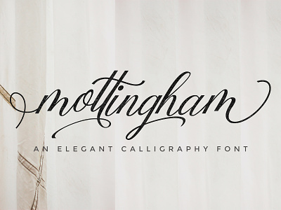 Mottingham Elegant Calligraphy branding calligraphy font font font awesome font bundle font duo illustration le parte studio modern calligraphy modern card vector