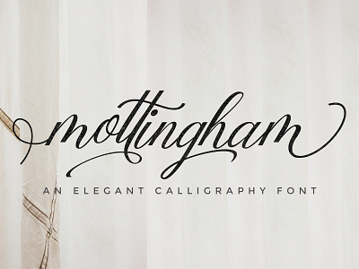 Mottingham Elegant Calligraphy