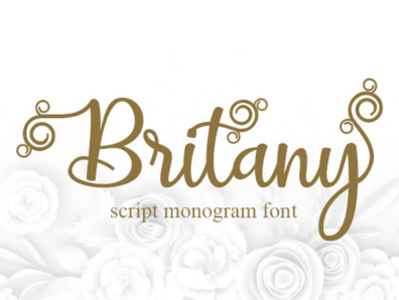 Britany Script Monogram Font calligraphy font curly design font bundle le parte studio logo modern calligraphy modern card monogram monogram letter mark monogram logo monograms script typeface