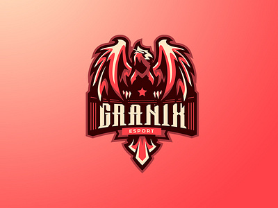 GRANIX ESPORT