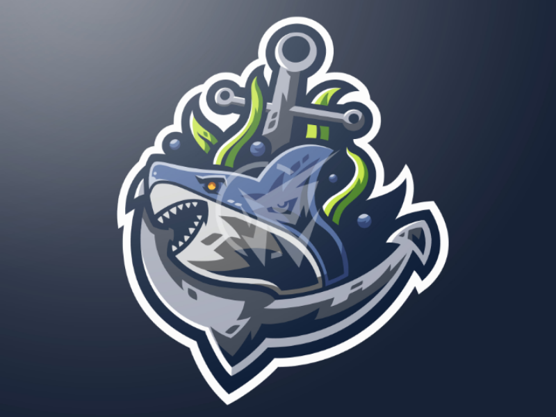 Раскрутка сайта team shark. Шарк логотип. Shark Team арбитраж. Эмблема с акулой нашивка. Shark Team аватарка.