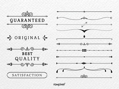 Vintage premium label collection vectors beauty design illustration label logo minimal premium spa vector vintage